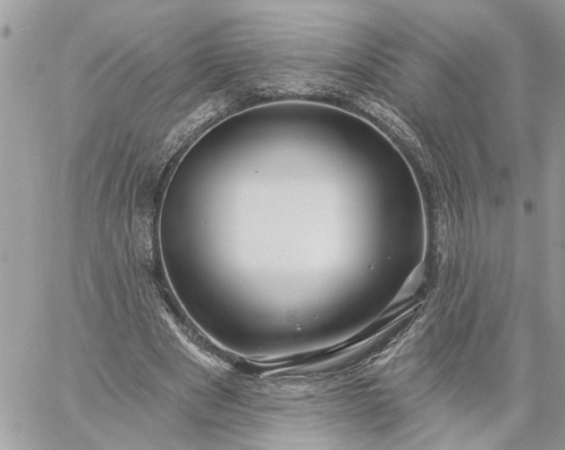 X0000059100489200510172124