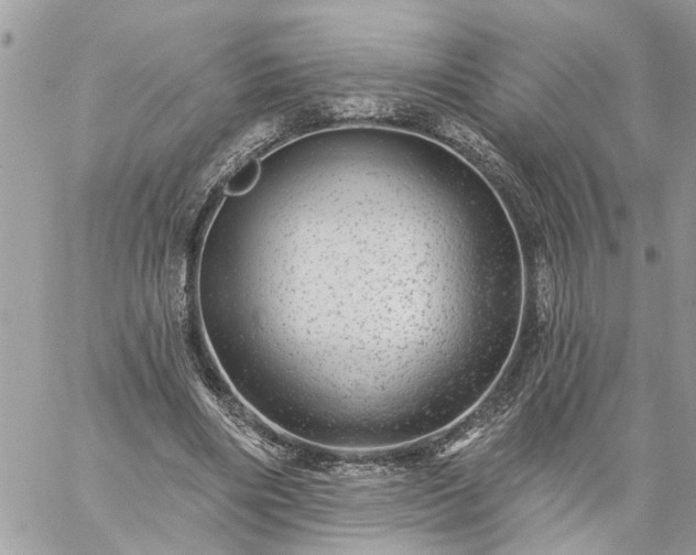 X0000059100490200510172124