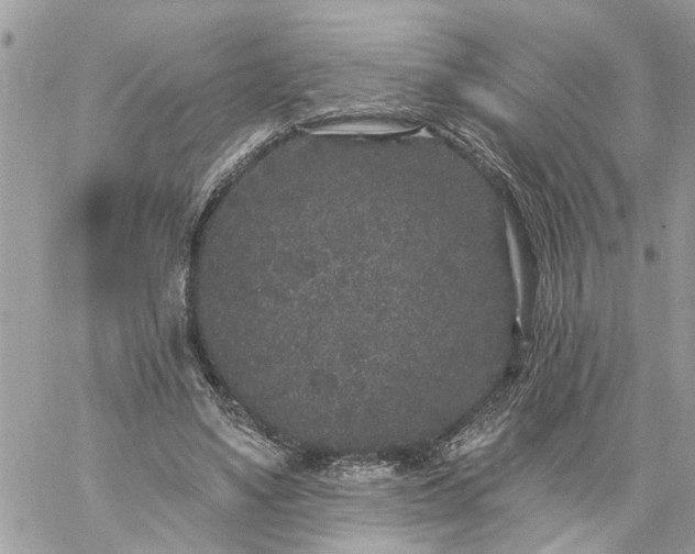 X0000059100491200510172124