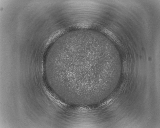 X0000059100494200510172123