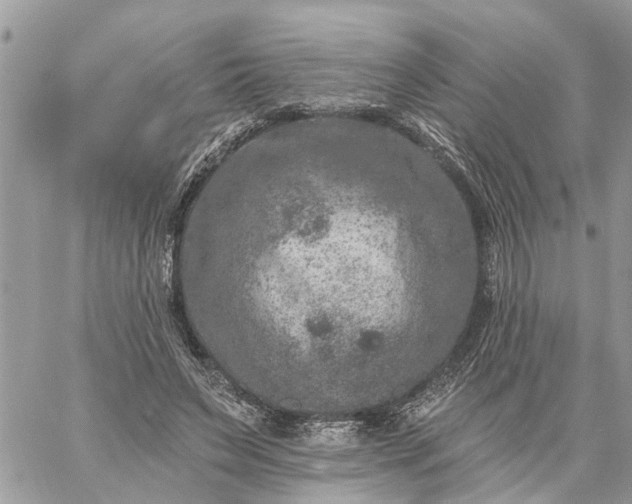 X0000059100495200510172123