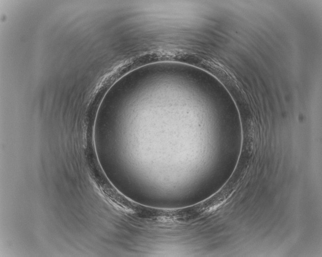 X0000059100496200510172123