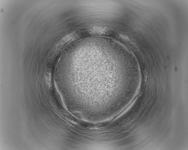 X0000059100498200510172123