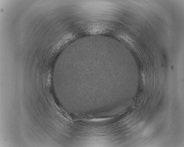 X0000059100499200510172123