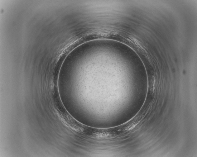 X0000059100500200510172123