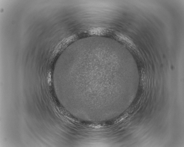 X0000059100502200510172123