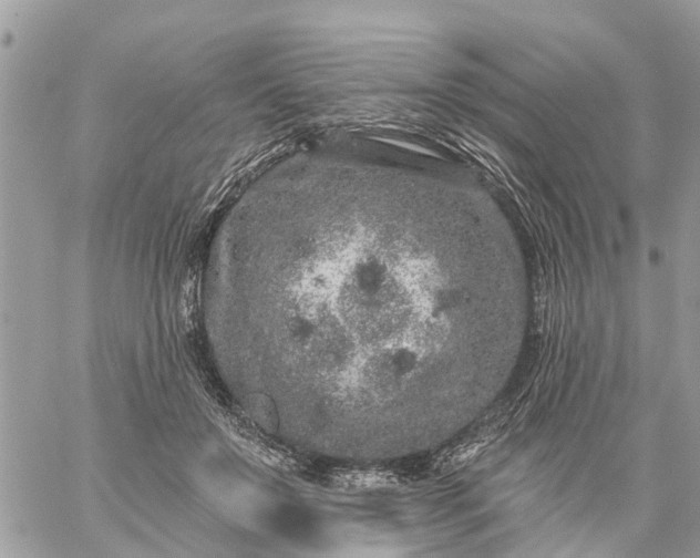 X0000059100503200510172123