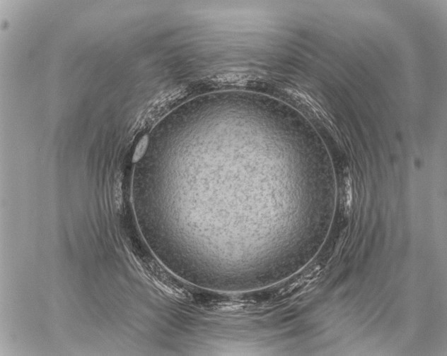 X0000059100504200510172123