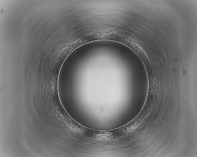 X0000059100505200510172123