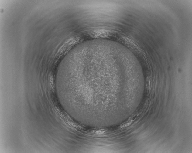 X0000059100506200510172123