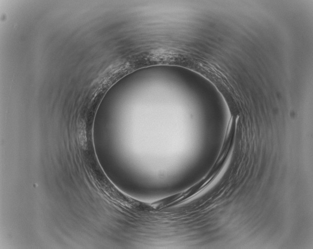 X0000059100508200510172123