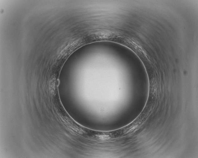 X0000059100509200510172123