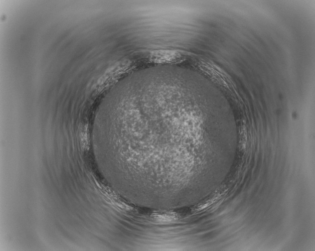 X0000059100510200510172123