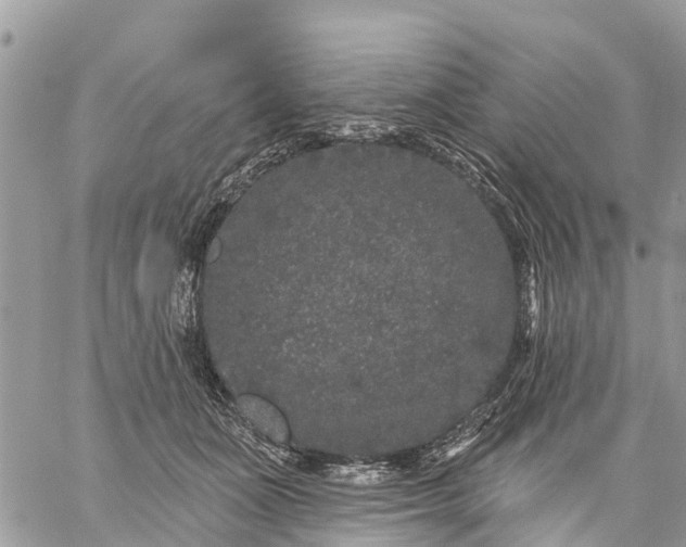 X0000059100511200510172123