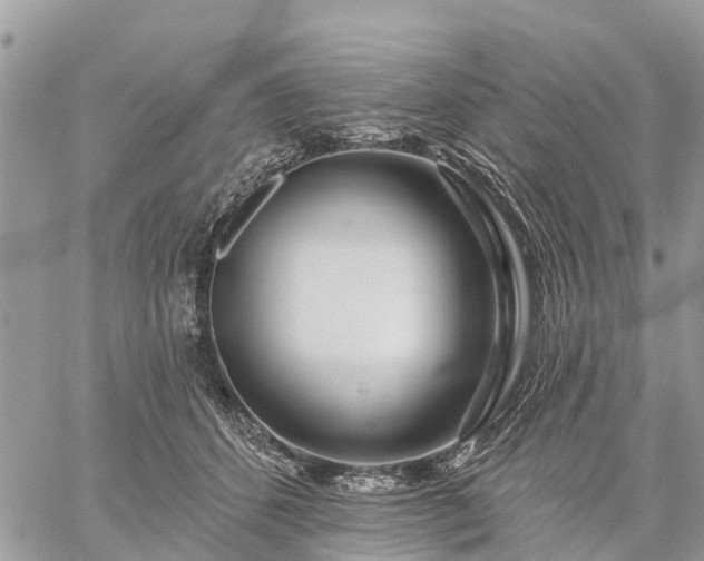 X0000059100512200510172123