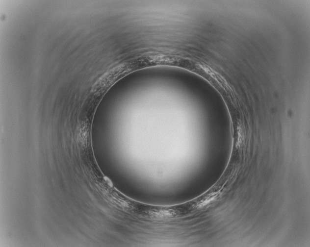 X0000059100513200510172123