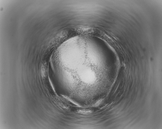 X0000059100515200510172123