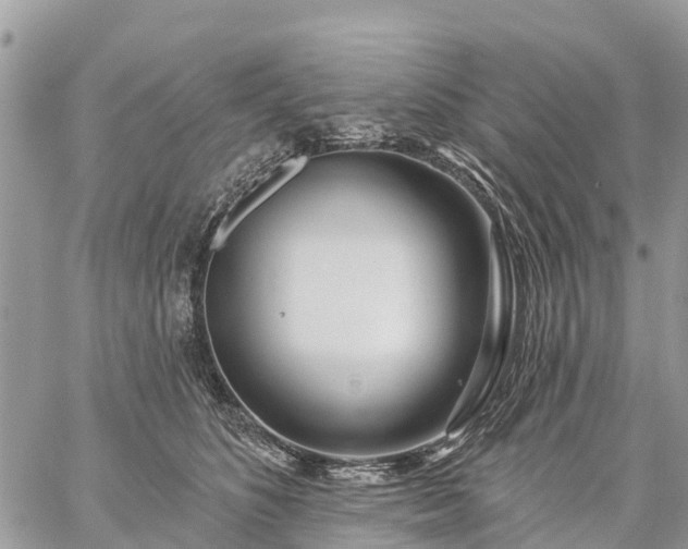 X0000059100516200510172123