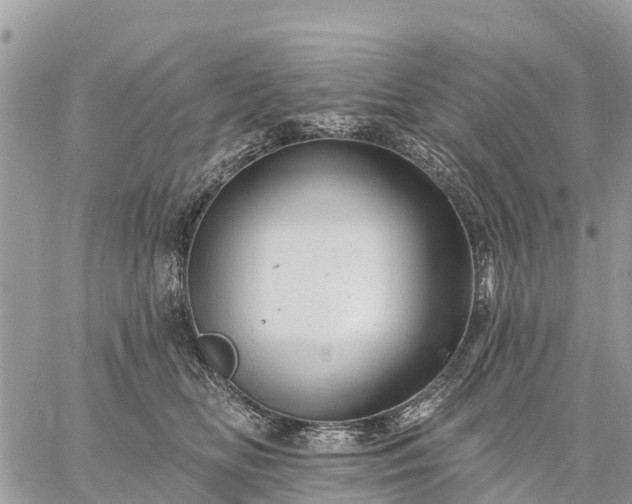 X0000059100518200510172123