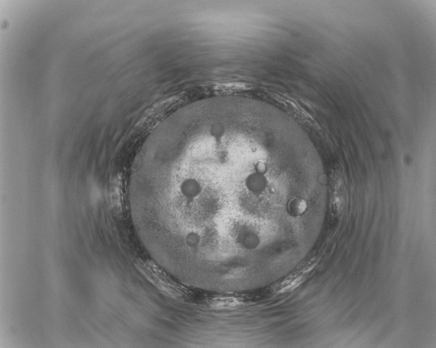 X0000059100519200510172123