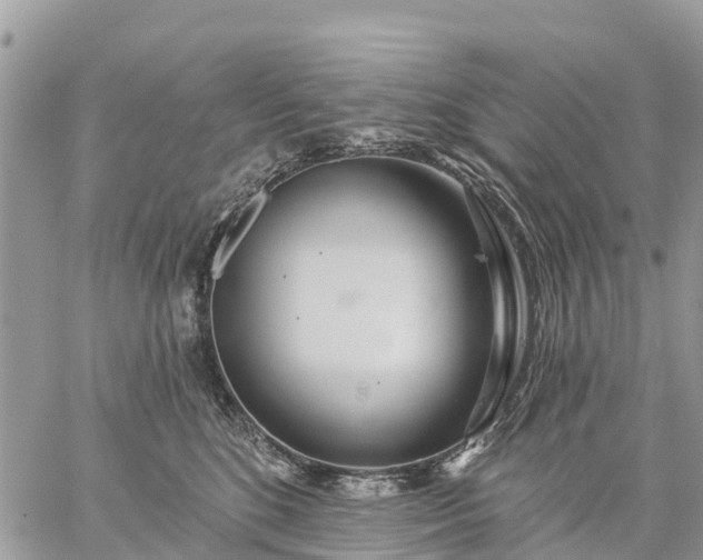 X0000059100520200510172123