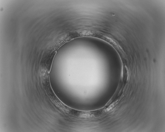 X0000059100521200510172123