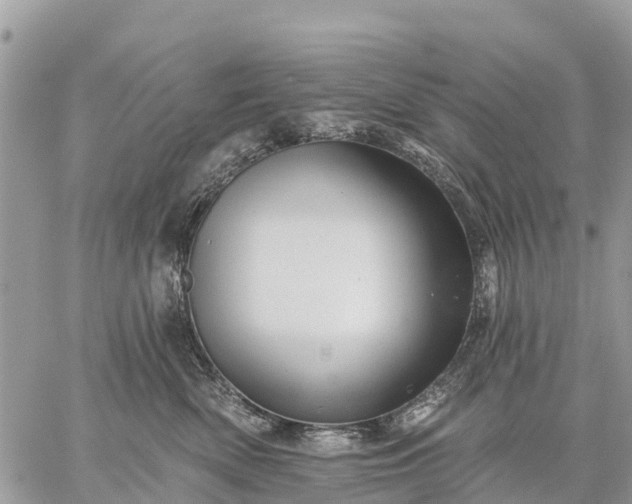 X0000059100522200510172123