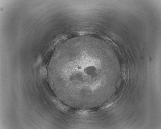 X0000059100523200510172123