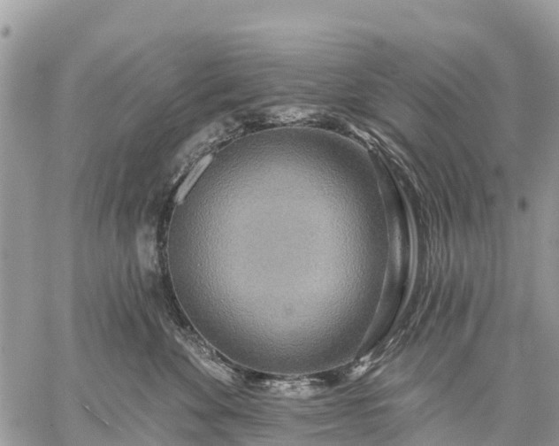 X0000059100524200510172123