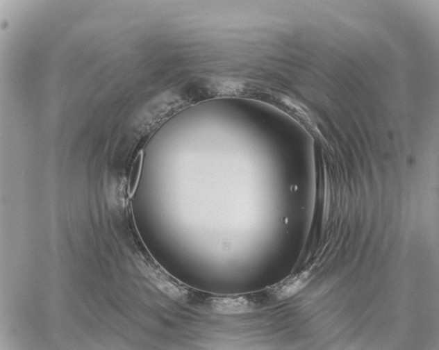 X0000059100525200510172123