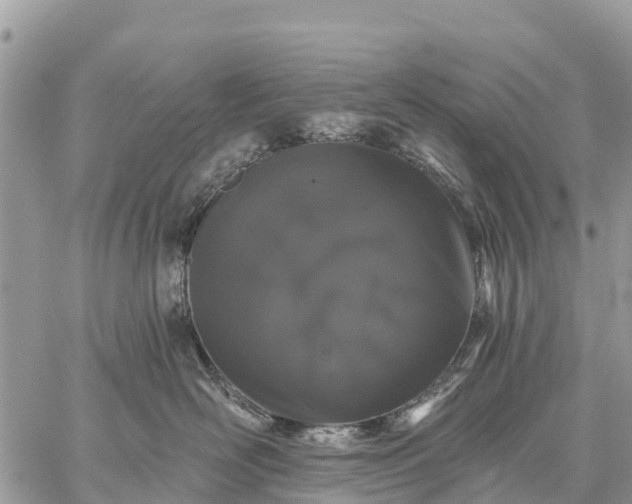 X0000059100526200510172123