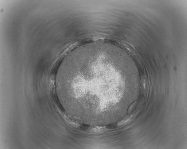 X0000059100527200510172123