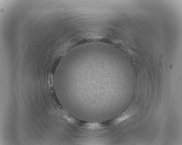 X0000059100528200510172123