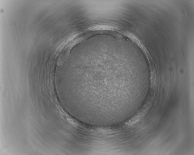 X0000059100529200510172122