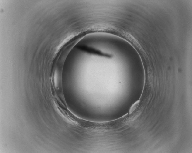 X0000059100530200510172122