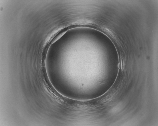 X0000059100531200510172122