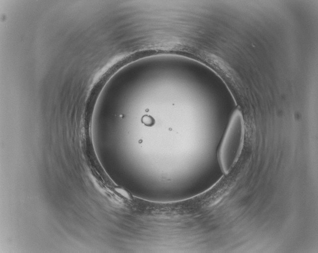 X0000059100532200510172122