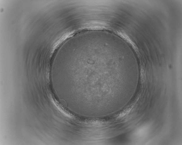 X0000059100533200510172122