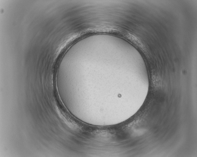 X0000059100534200510172122