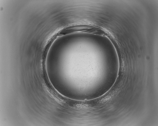 X0000059100535200510172122