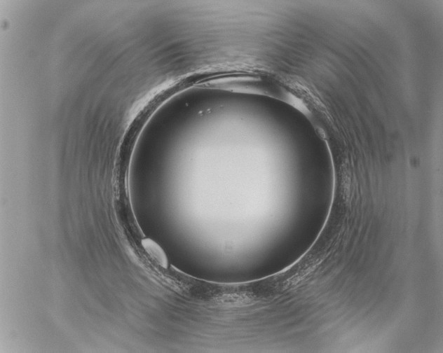 X0000059100536200510172122