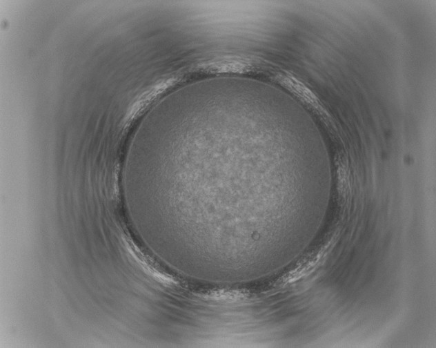 X0000059100537200510172122