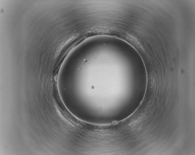 X0000059100538200510172122