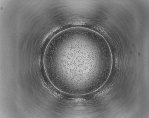 X0000059100539200510172122