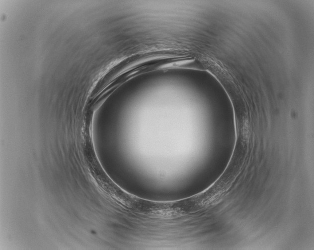 X0000059100540200510172122