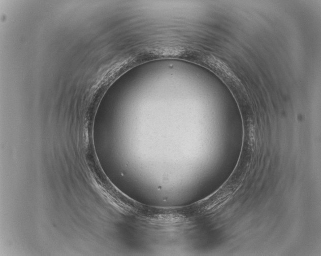 X0000059100541200510172122