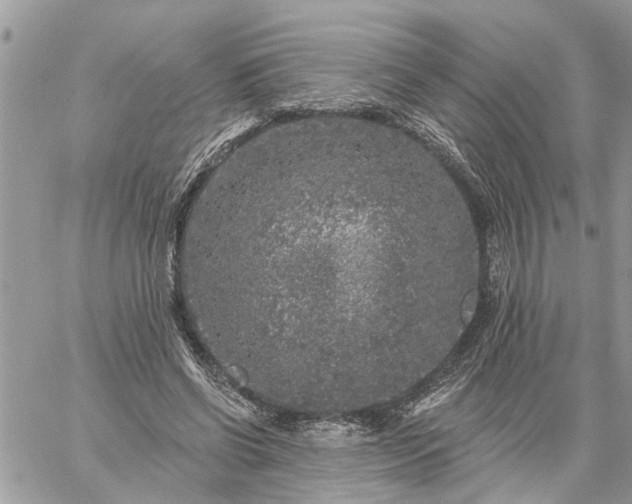 X0000059100542200510172122