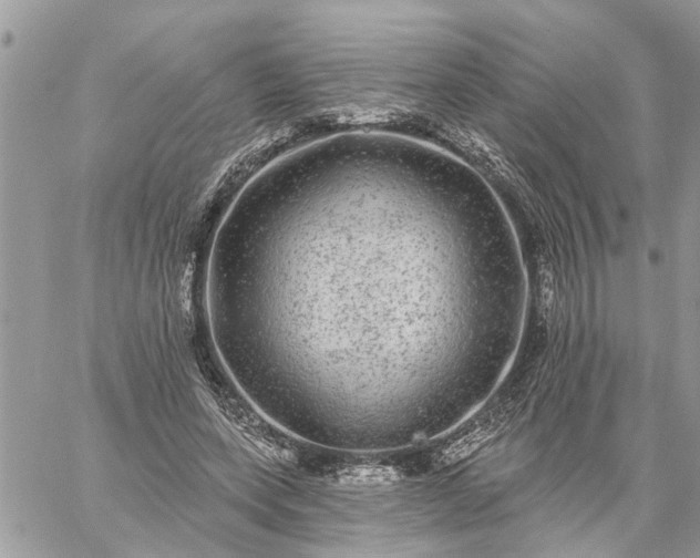 X0000059100543200510172122