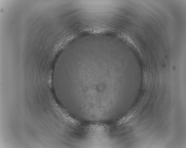 X0000059100545200510172122