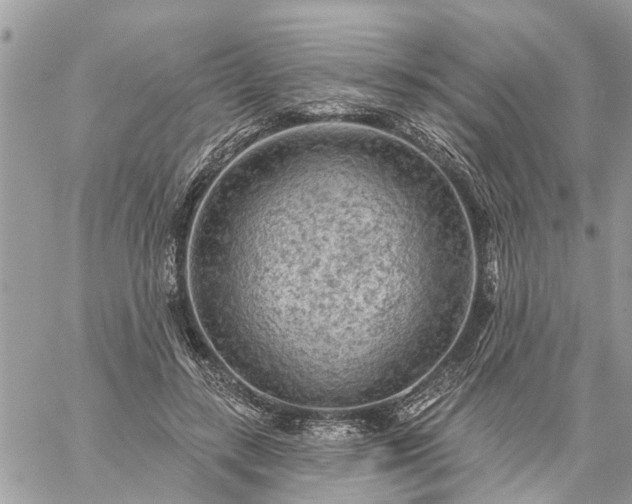 X0000059100547200510172122